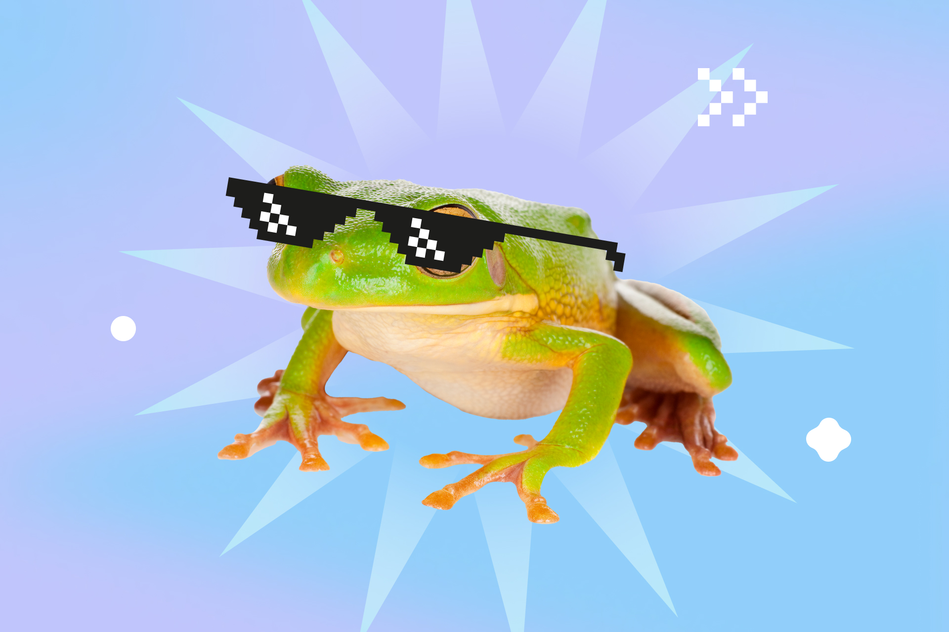 какая вы лягушка
