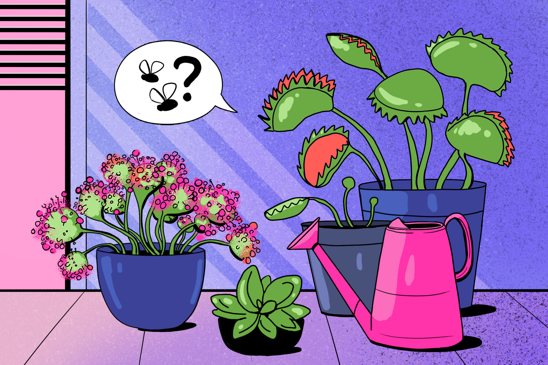 Хищные растения
